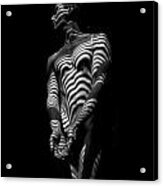 5812 Zebra Striped Male Body In Black And White Acrylic Print