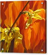 Spring Color #6 Acrylic Print