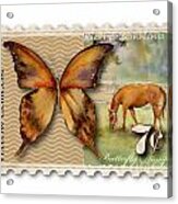 7 Cent Butterfly Stamp Acrylic Print