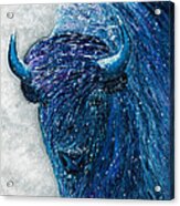 Buffalo  - Ready For Winter Acrylic Print