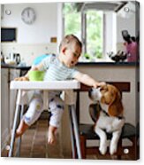 A 1 Year Old Boy Petting His Dog In The Kitchen Acrylic Print