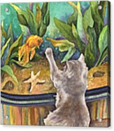 A Cat And A Fish Tank Acrylic Print