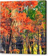 A Change Of Colors Acrylic Print