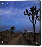 A Desert Road And Joshua Trees At Night Acrylic Print