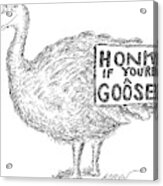A Goose Is Depicted Acrylic Print