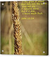 A Grain Of Wheat Acrylic Print