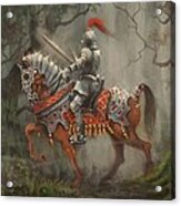 A Knight In Shining Armor Acrylic Print