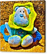 A Lost And Forgotten Toy Acrylic Print