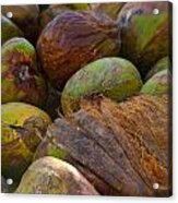 A Lovely Bunch Of Coconuts Acrylic Print