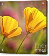 A Pair Acrylic Print