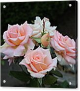 A Rose Bouquet Acrylic Print