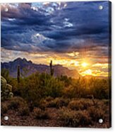 A Sonoran Desert Sunrise Acrylic Print