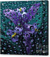 A Spray Of Irises. Acrylic Print