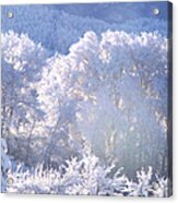 A Study In Frosty Hues Of Winter Whites And Blues Acrylic Print