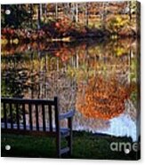 A View Of Wonder Acrylic Print