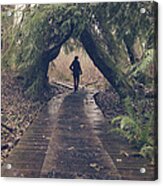 A Walk Through Discovery Park Acrylic Print