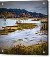 A Walk Toward Fall Acrylic Print