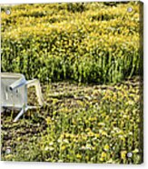 Abandoned Chair Acrylic Print