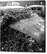 Abandoned Chevys Acrylic Print