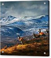 Above Strathglass Acrylic Print