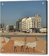Abu Dhabi Outskirts Acrylic Print
