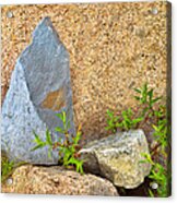 Acadia Rock Composition Photo Acrylic Print