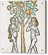 Adam And Eve Acrylic Print
