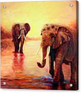 African Elephants At Sunset In The Serengeti Acrylic Print