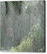 African Rain Acrylic Print