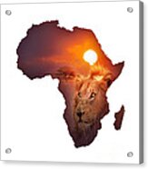 African Wildlife Map Acrylic Print