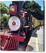 All Aboard Acrylic Print