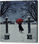 Alone In The Snow Acrylic Print