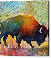 American Buffalo 4 Acrylic Print