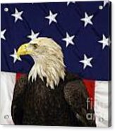 American Eagle And Flag Acrylic Print