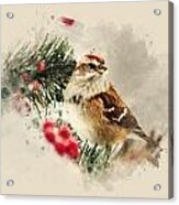 American Tree Sparrow Watercolor Art Acrylic Print