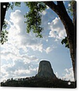 Among The Cottonwoods At Devils Tower Acrylic Print