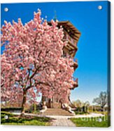 An Afternoon At Patterson Park Acrylic Print