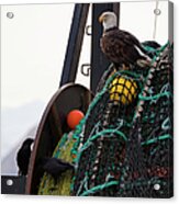 An Eagle Sits On The Fishing Nets On A Acrylic Print