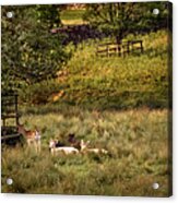 An English Park Acrylic Print