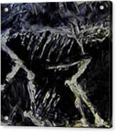 Ancient Dog Skeleton Acrylic Print
