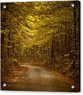 Country Road In Mississippi Acrylic Print