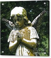 Angel In Prayer Acrylic Print