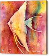Angelfish Ii Acrylic Print