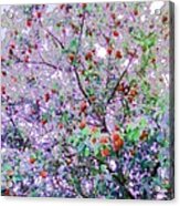 Apple Tree/red Edit Acrylic Print