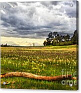 April Showers Bring May Flowers Acrylic Print
