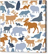 Arctic Animals Pattern Acrylic Print