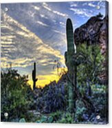 Arizona Desert Acrylic Print