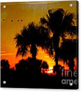 Artistic Florida Sunset Acrylic Print