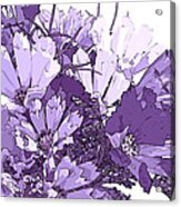 Artsy Purple Cosmos Acrylic Print