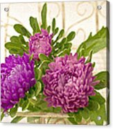 Asters In Tray - Digital Art Oil Painting Acrylic Print